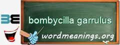 WordMeaning blackboard for bombycilla garrulus